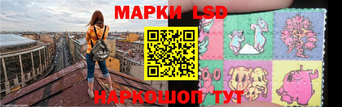 Бийск  Лсд 25 экстази кислота  Вход с VPN 
