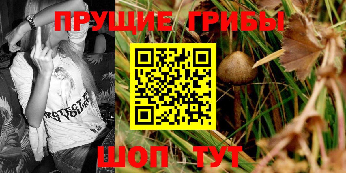 Галлюциногенные грибы мицелий Бийск